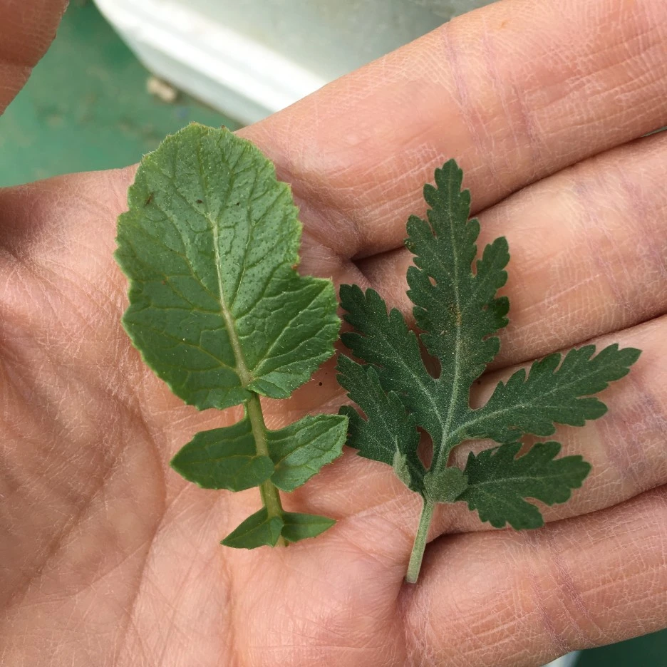 20210426_1077.JPG?type=w1