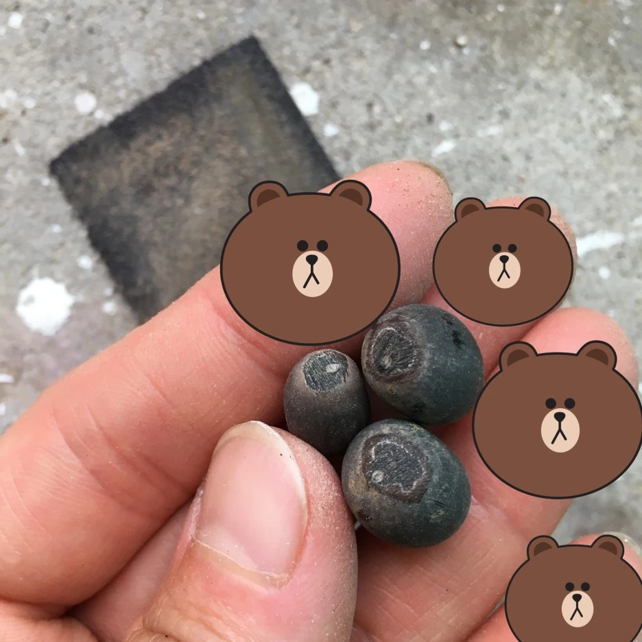 SE-913284ba-cc33-4947-b927-0df41553b2c4.jpg?type=w1