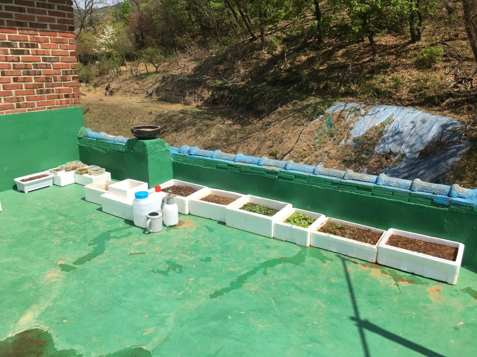 20210409_0697.JPG?type=w1