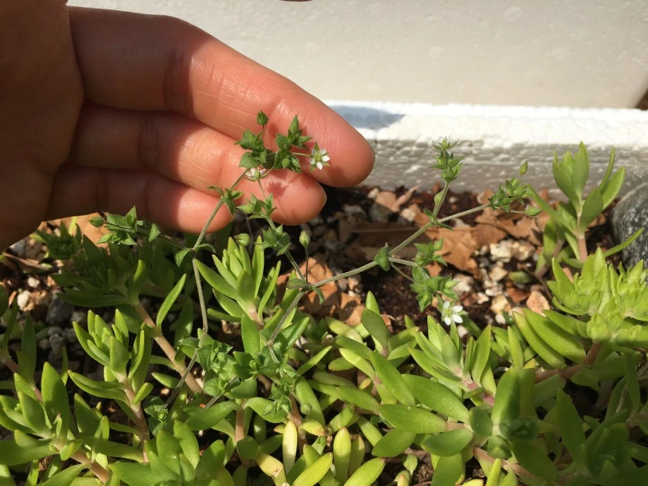 20210503_1256.JPG?type=w1