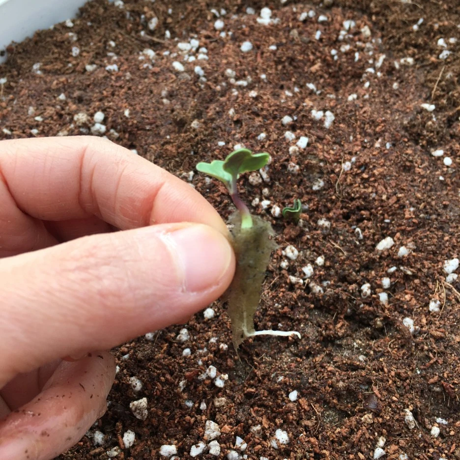 20210417_1145.JPG?type=w1