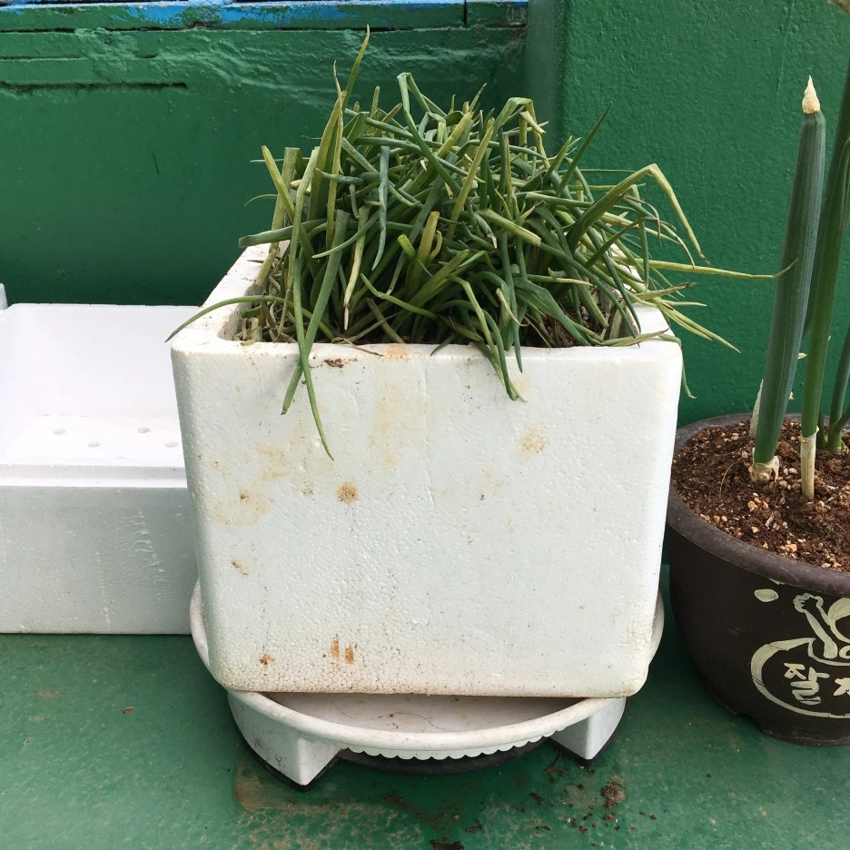 20210417_1129.JPG?type=w1