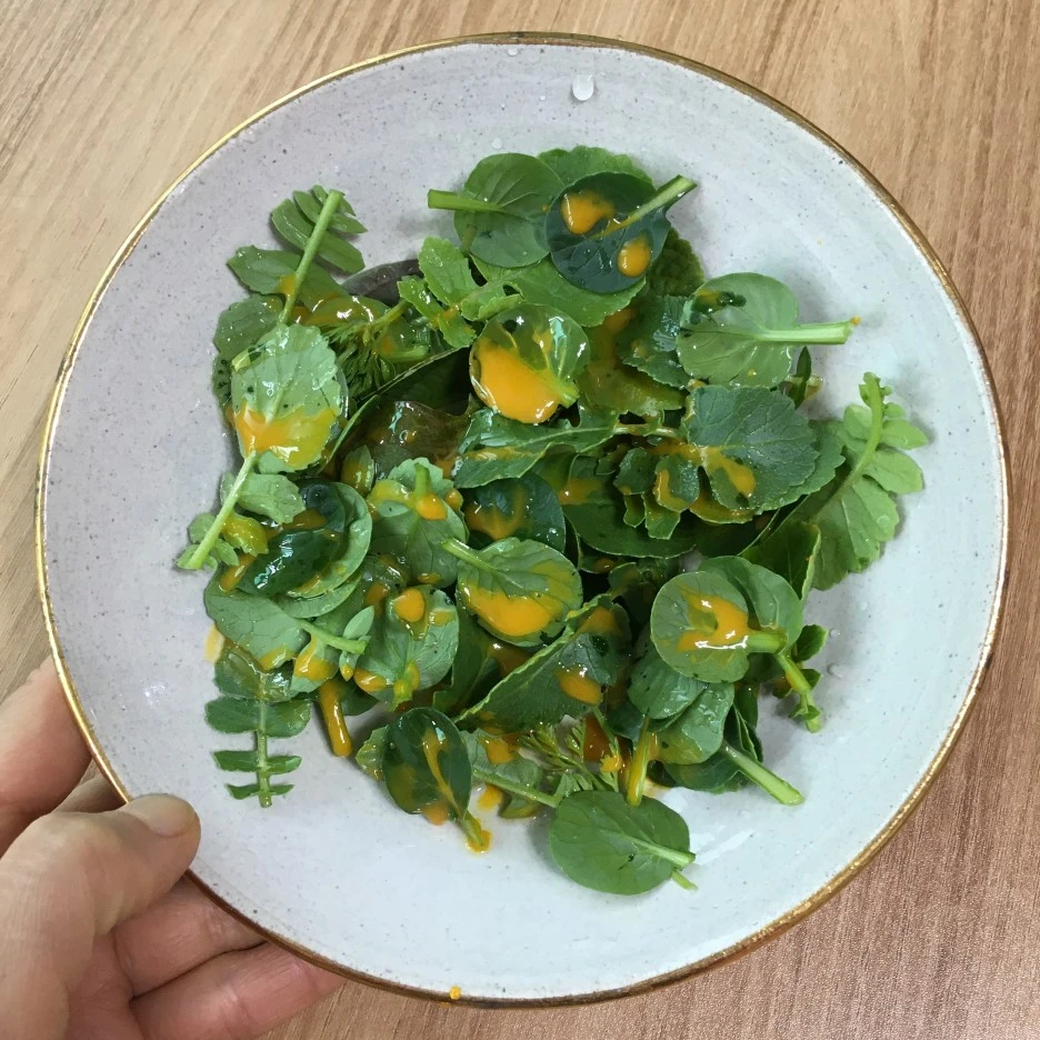 20210428_1163.JPG?type=w1