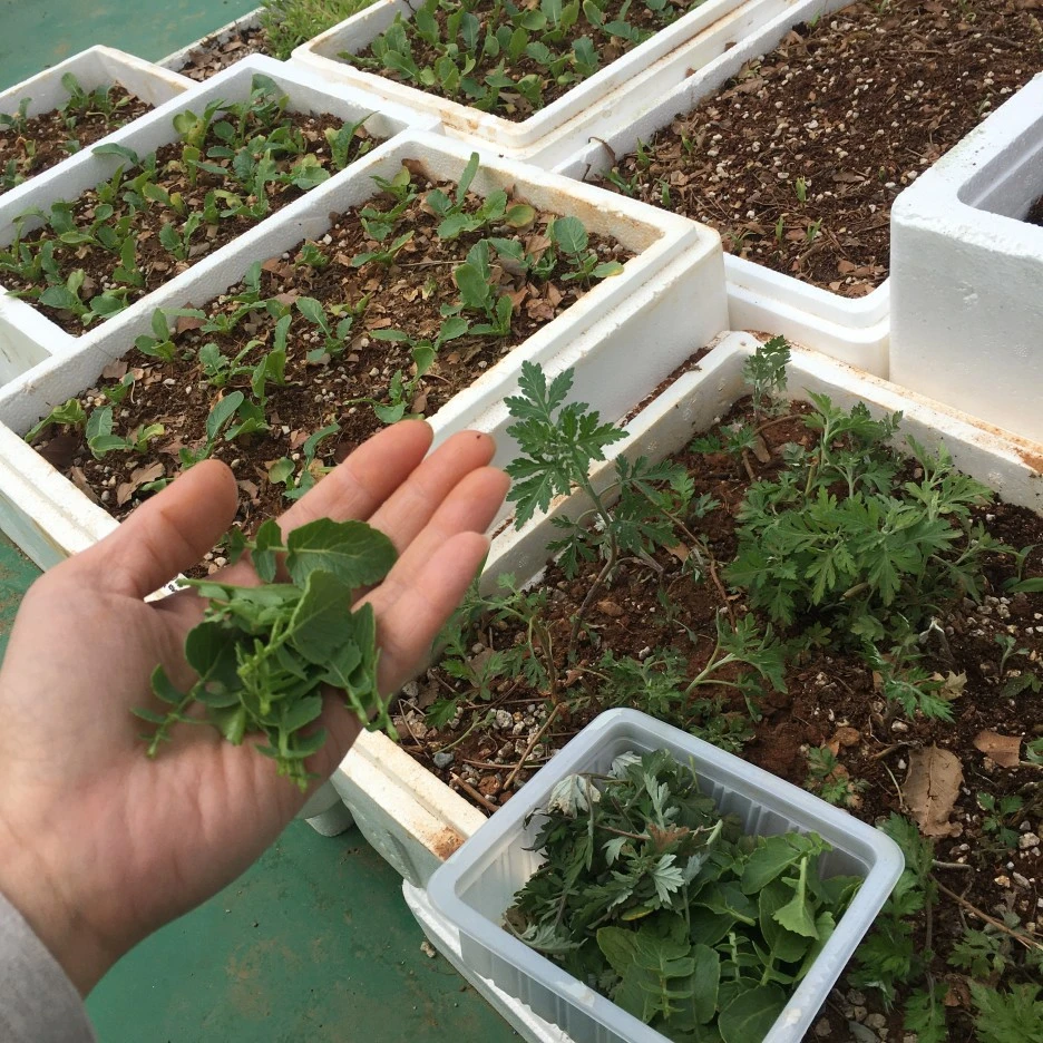 20210426_1075.JPG?type=w1