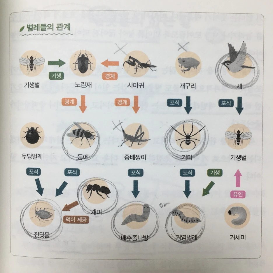 IMG_2231.JPG?type=w1