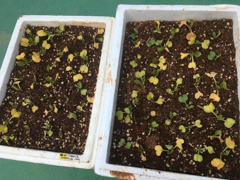 20210418_2830.JPG?type=w1