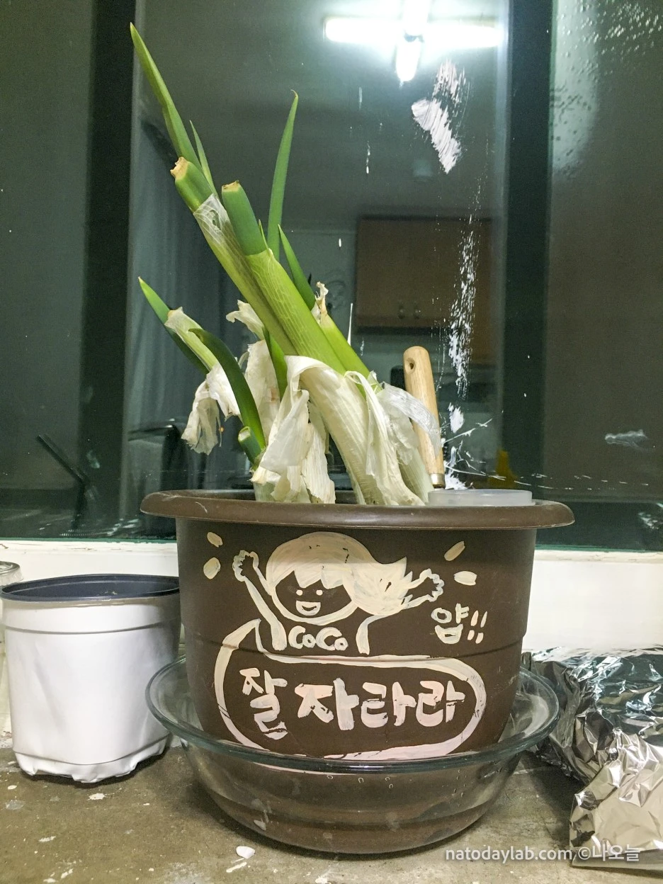 20210302--13.jpg?type=w1