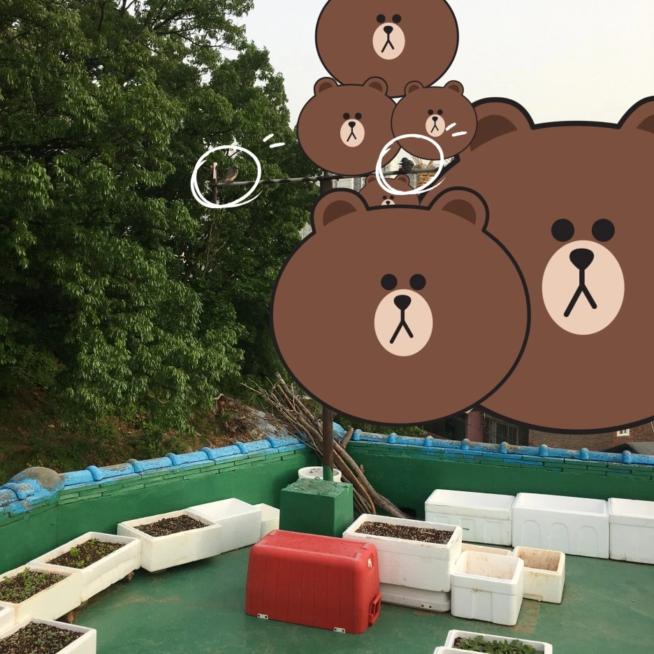 SE-34ce6c25-34cd-43ed-82a6-fc7445cd391f.jpg?type=w1