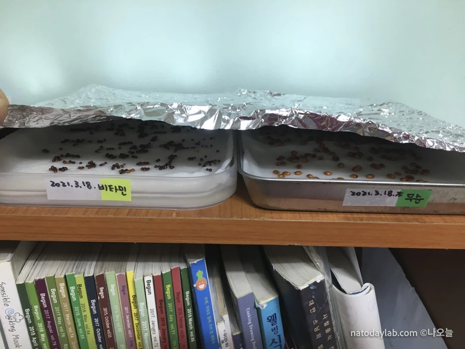 20210318--%EB%82%A0%EC%A7%9C-13.jpg?type=w1