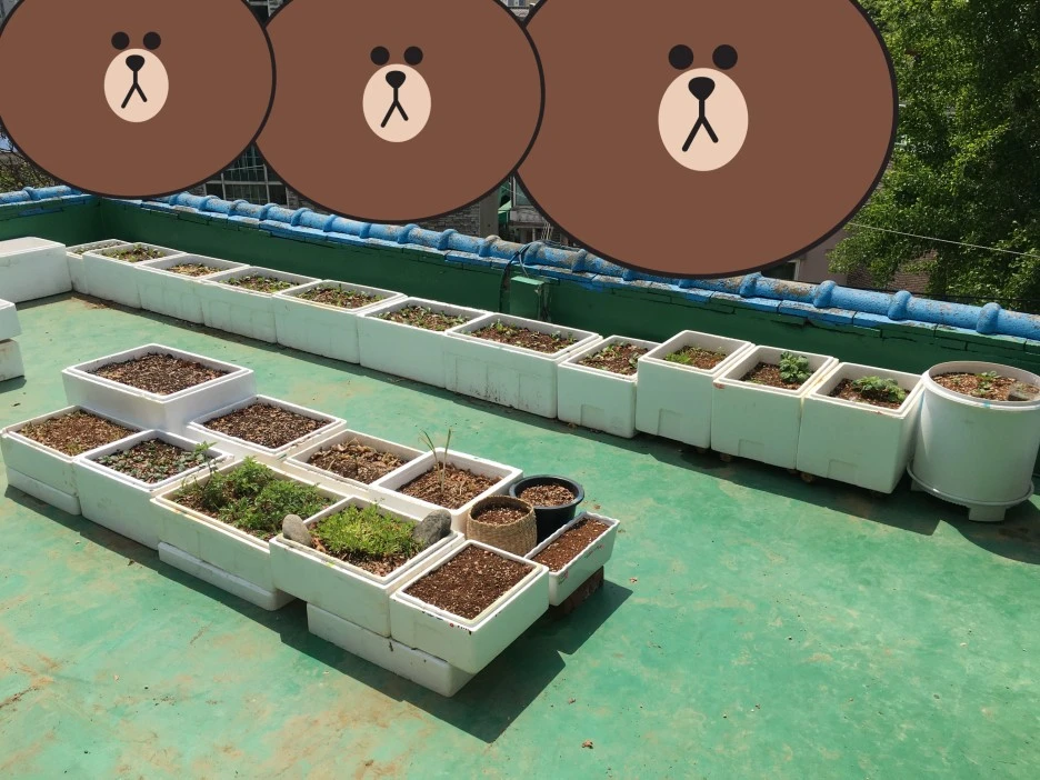 SE-871ec309-19da-4019-9455-5a8b451f626d.jpg?type=w1