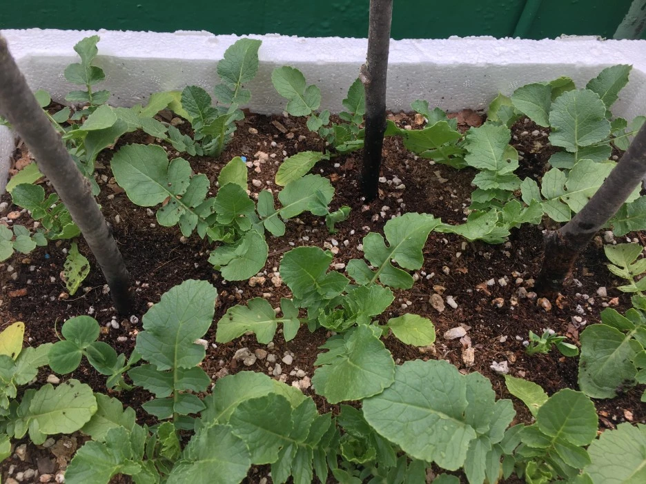 20210511_1404.JPG?type=w1