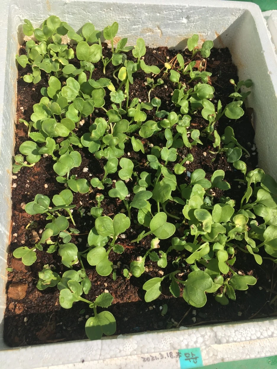 20210408_0570.JPG?type=w1