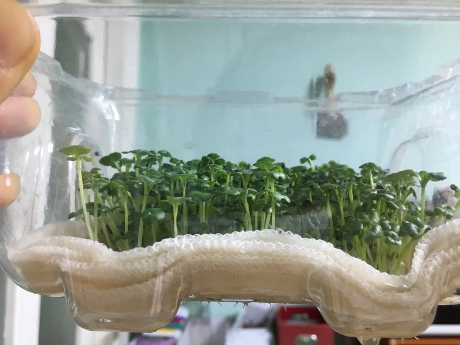 20210505_0088.JPG?type=w1