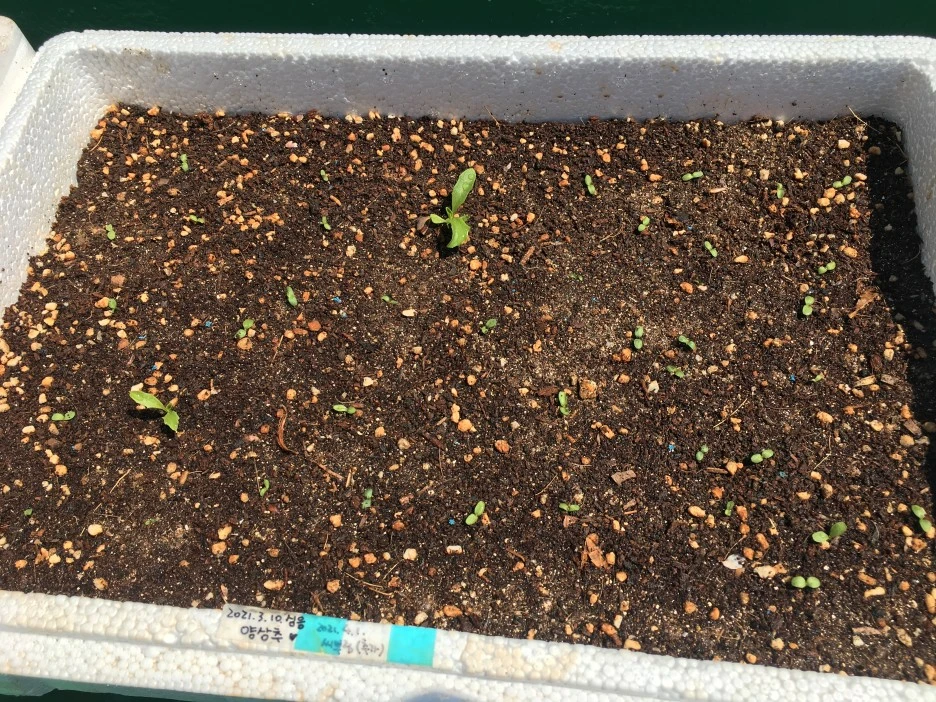 20210414_1043.JPG?type=w1