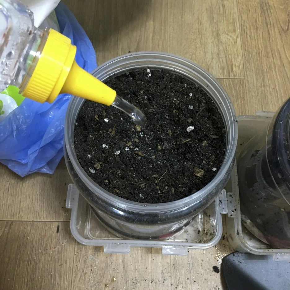 20210309_0113.jpg?type=w1