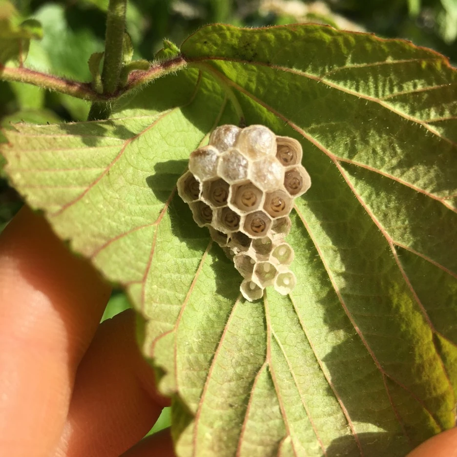 20210524_1888.JPG?type=w1