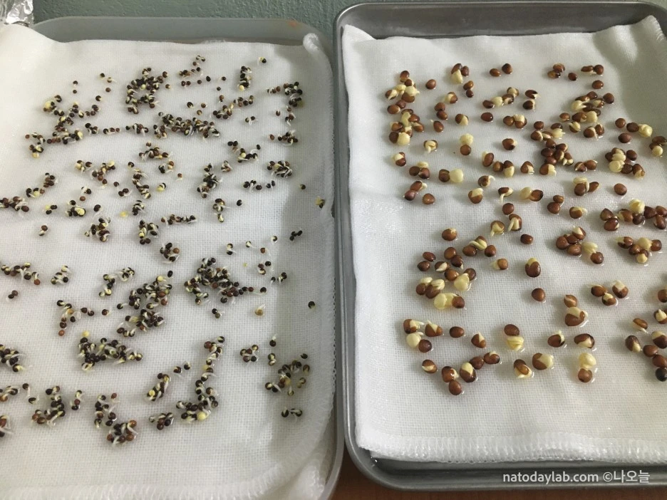 20210320--%EB%82%A0%EC%A7%9C-14.jpg?type=w1