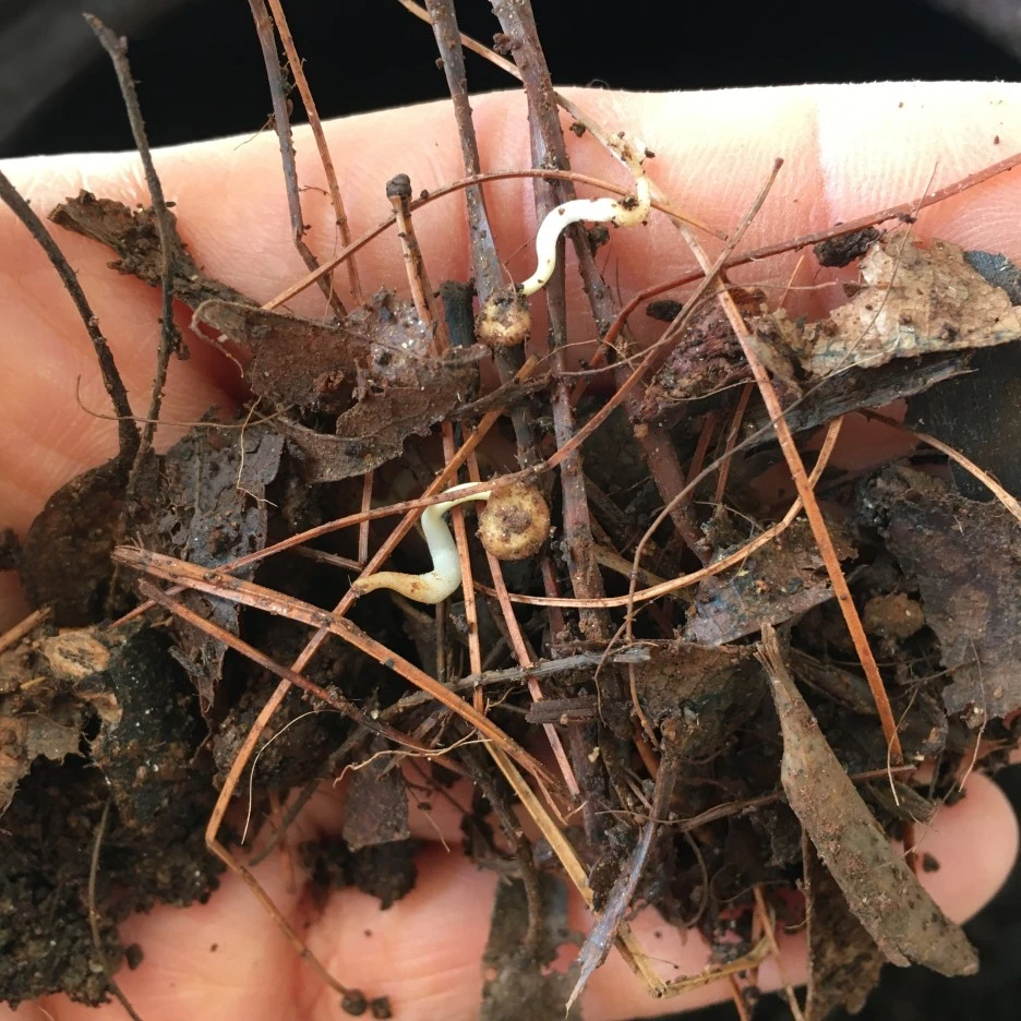 20210414_1057.JPG?type=w1