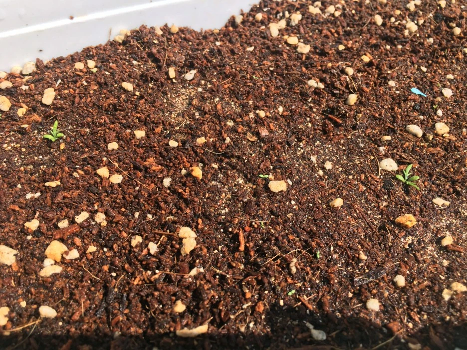 20210408_0576.JPG?type=w1