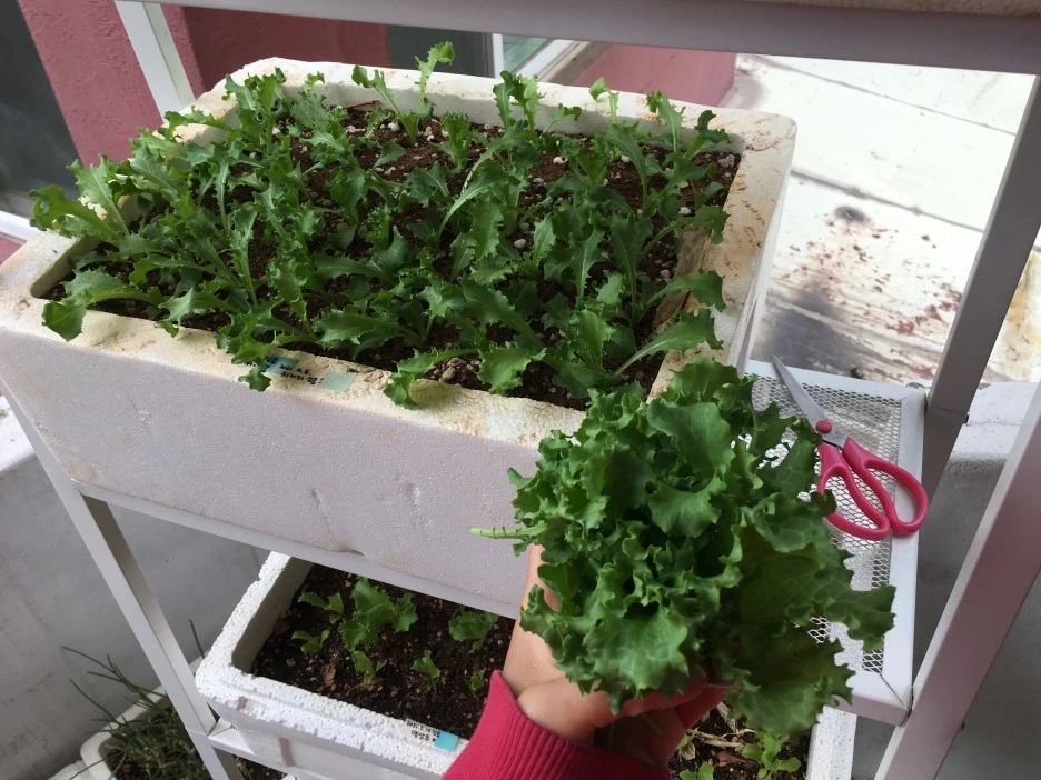 20210521_1793.JPG?type=w1