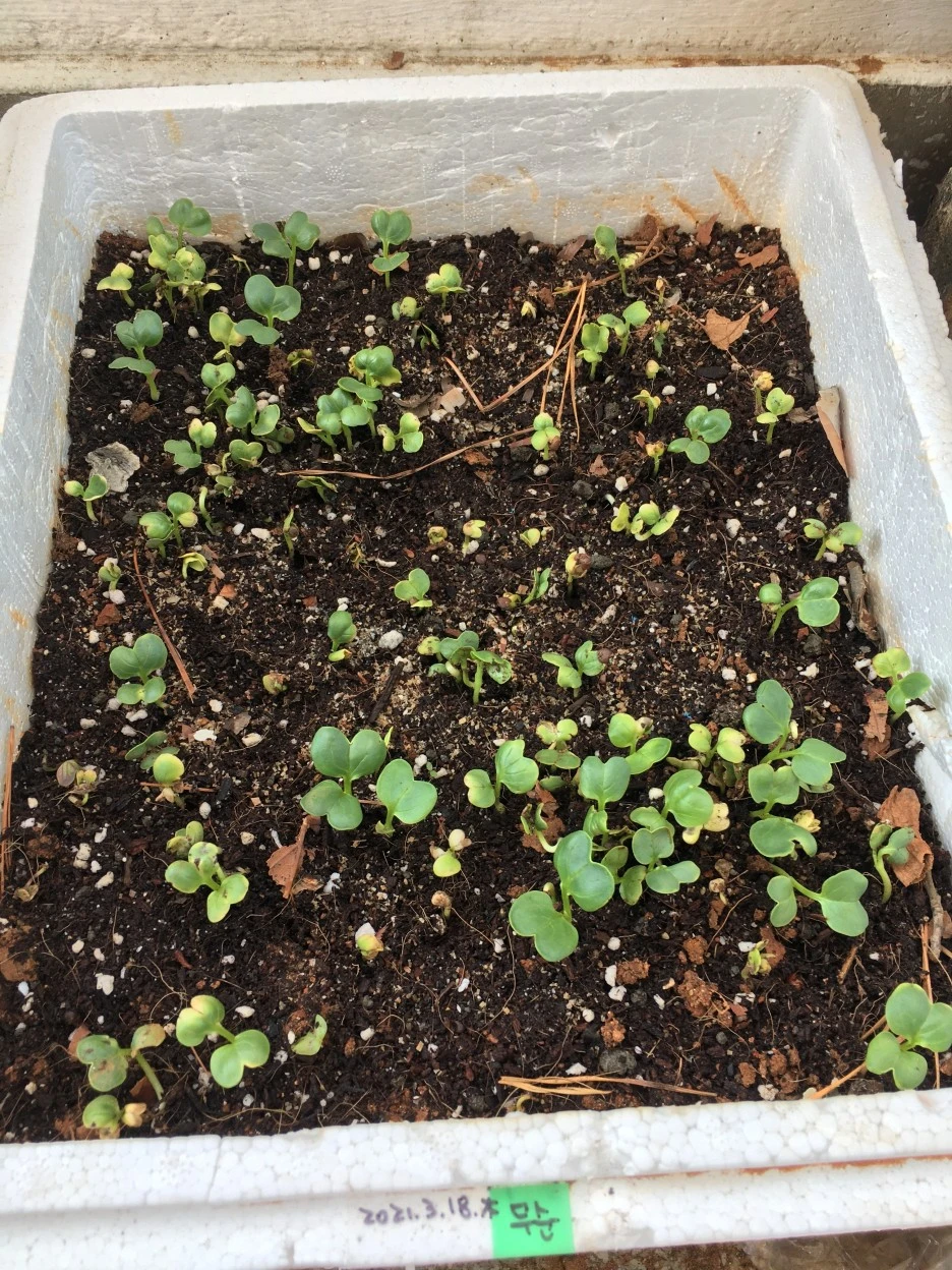 20210331_0417.JPG?type=w1