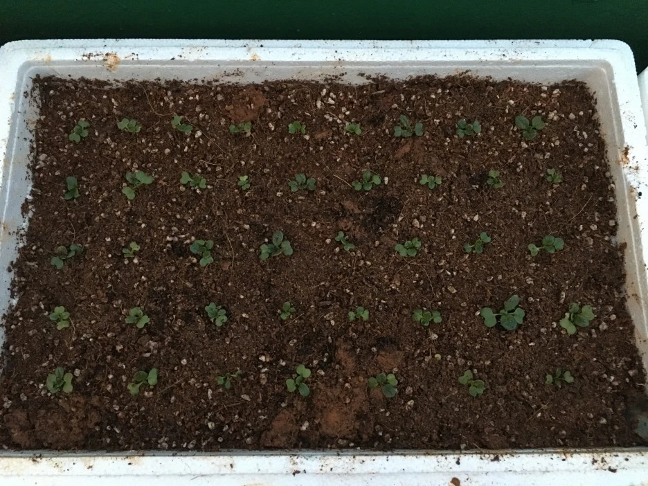 20210413_0996.JPG?type=w1