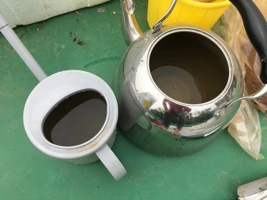 20210428_1139.JPG?type=w1