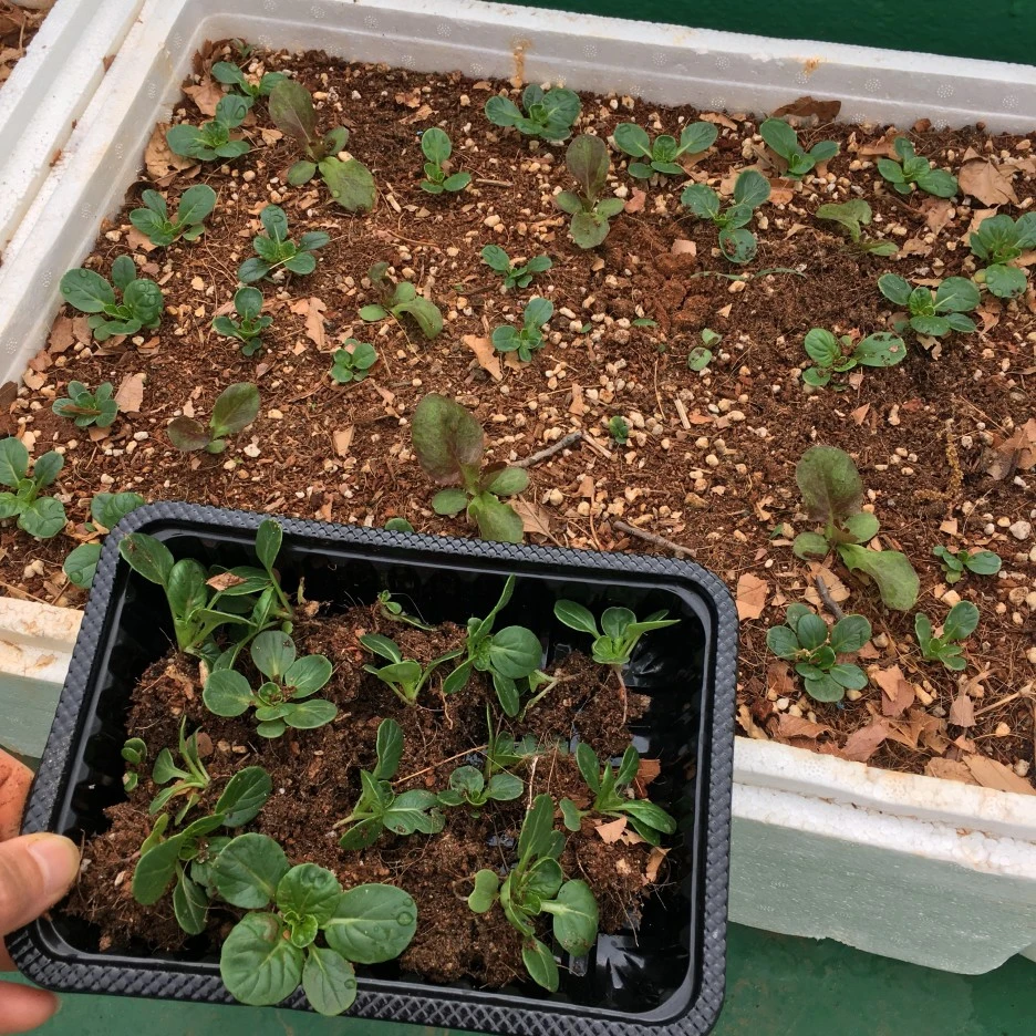 20210427_1120.JPG?type=w1