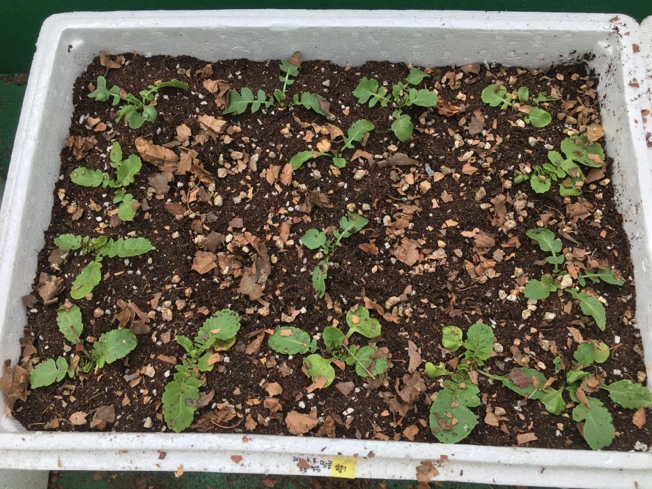 20210428_1151.JPG?type=w1