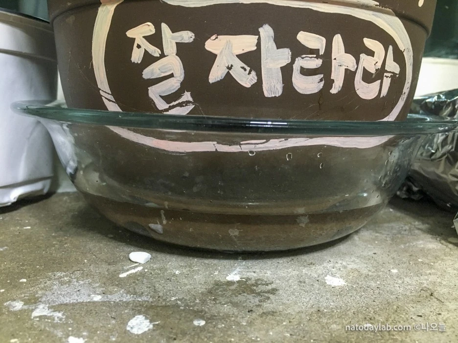 20210302--14.jpg?type=w1