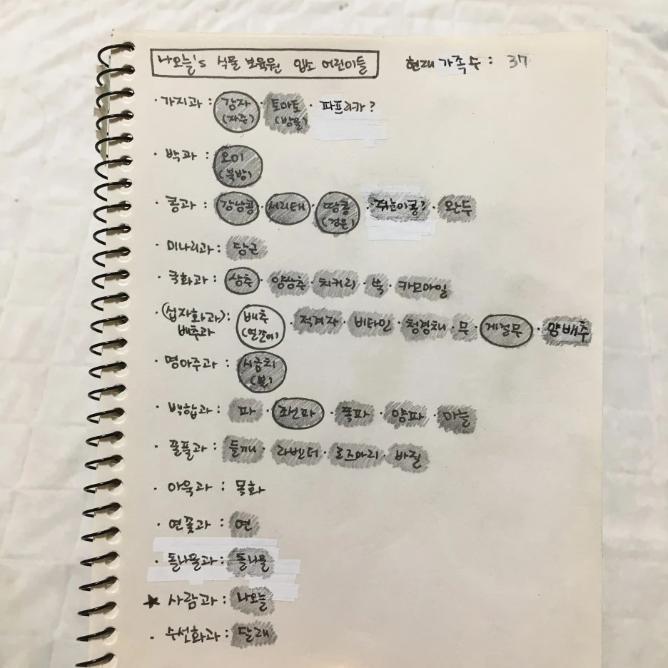 20210428_1187.JPG?type=w1