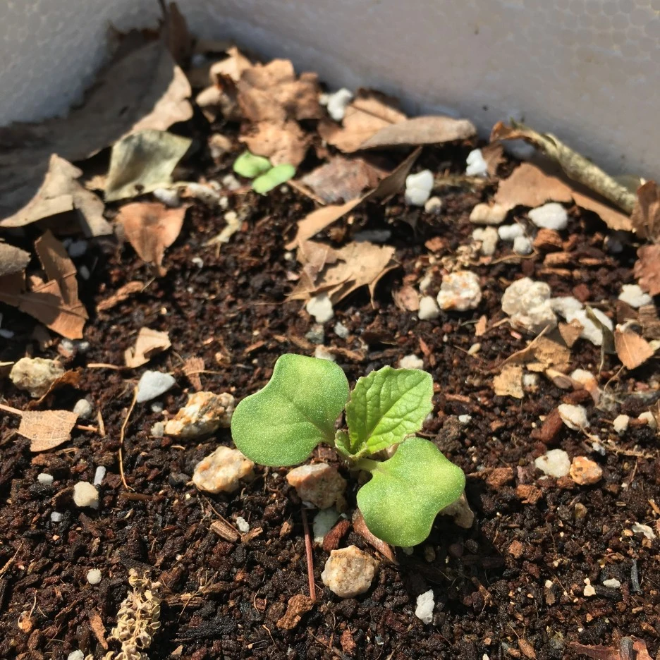 20210519_1676.JPG?type=w1