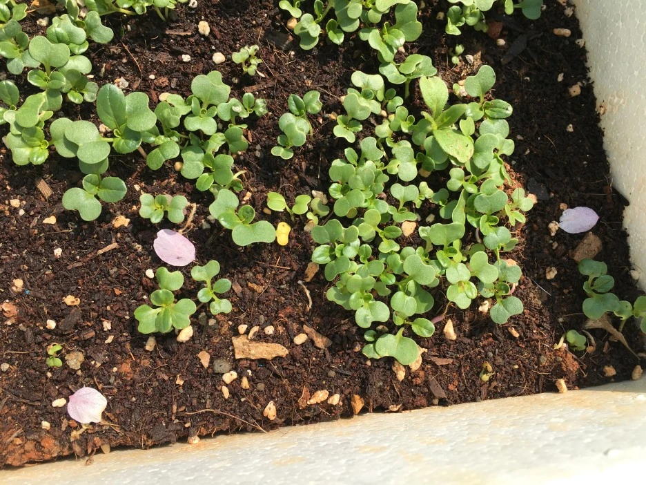 20210410_0705.JPG?type=w1