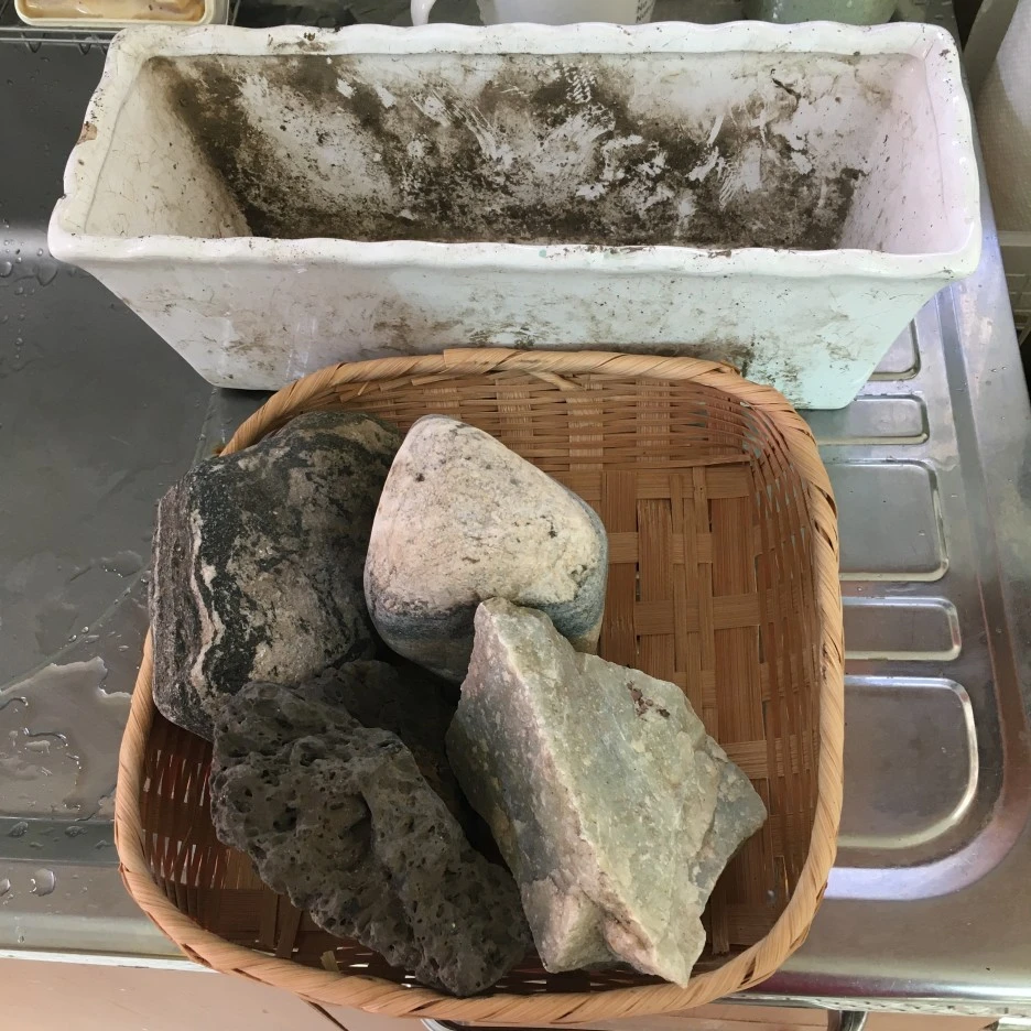 20210414_1061.JPG?type=w1