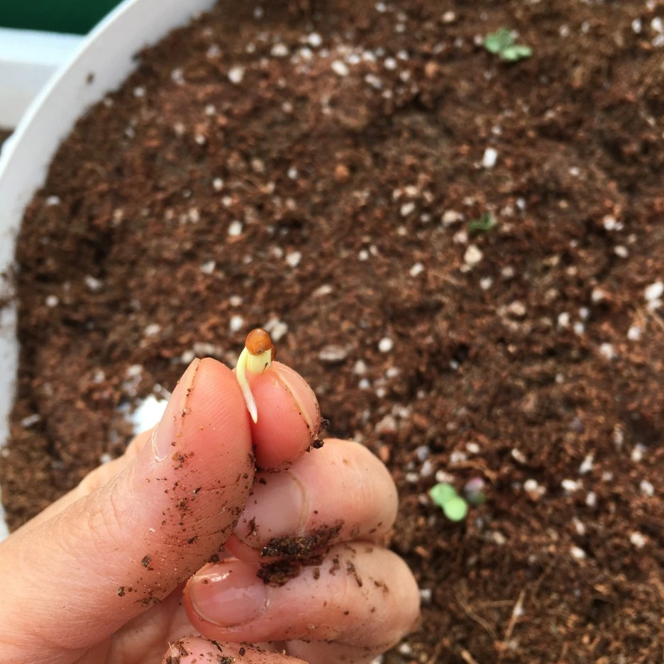 20210417_1146.JPG?type=w1