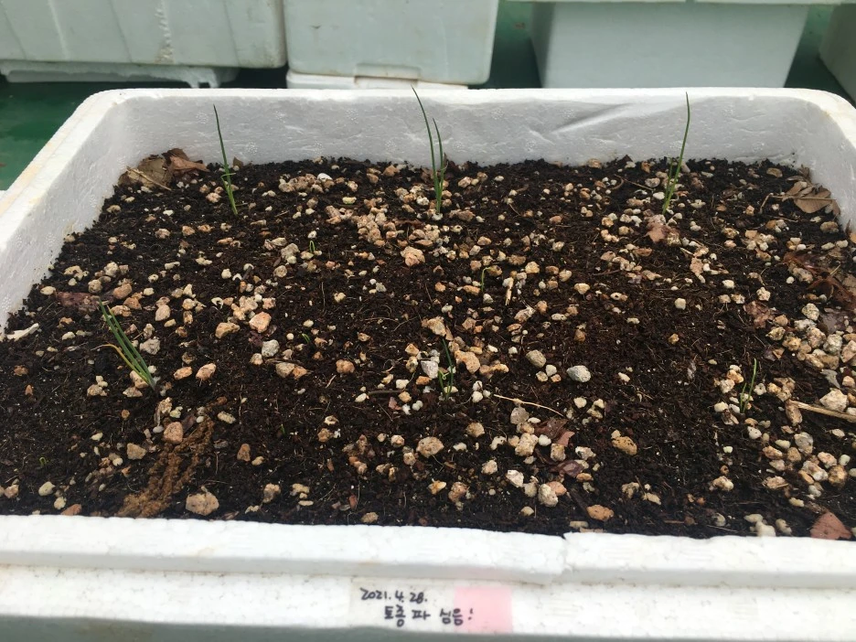 20210515_1567.JPG?type=w1