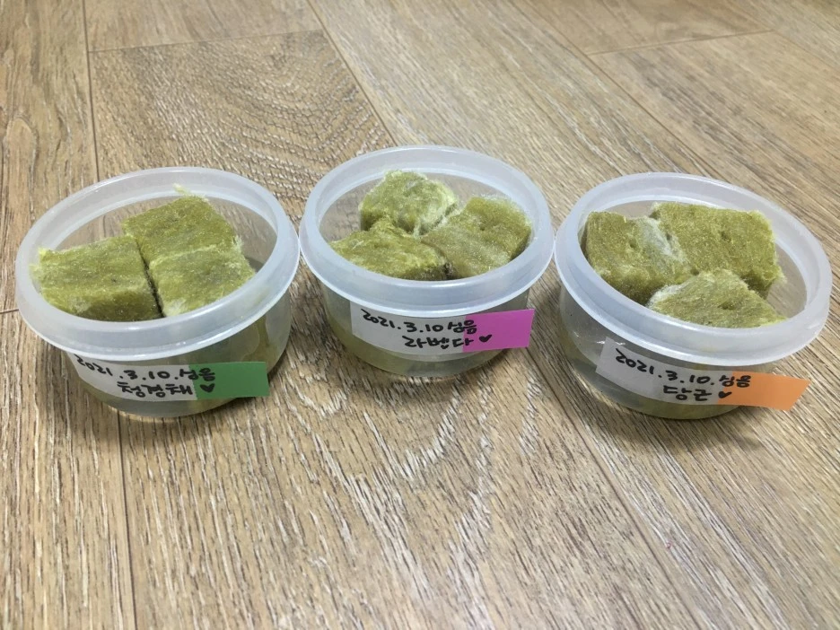 20210310_0143.jpg?type=w1