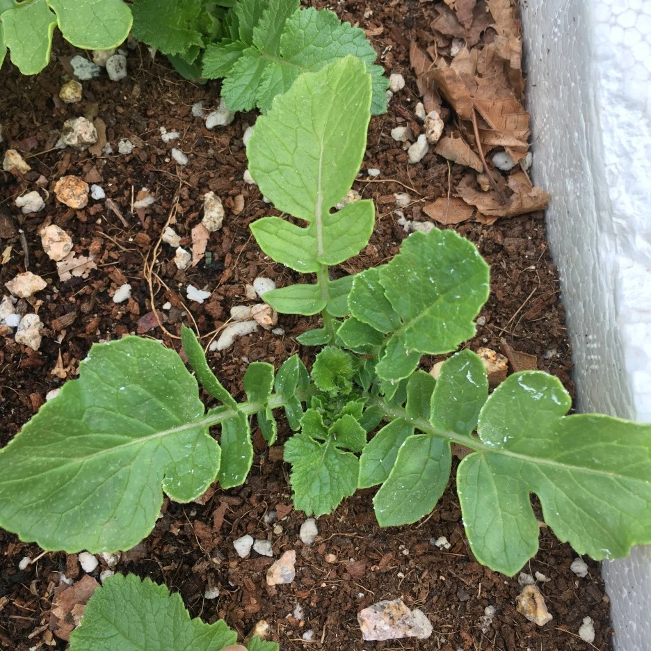 20210510_1352.JPG?type=w1