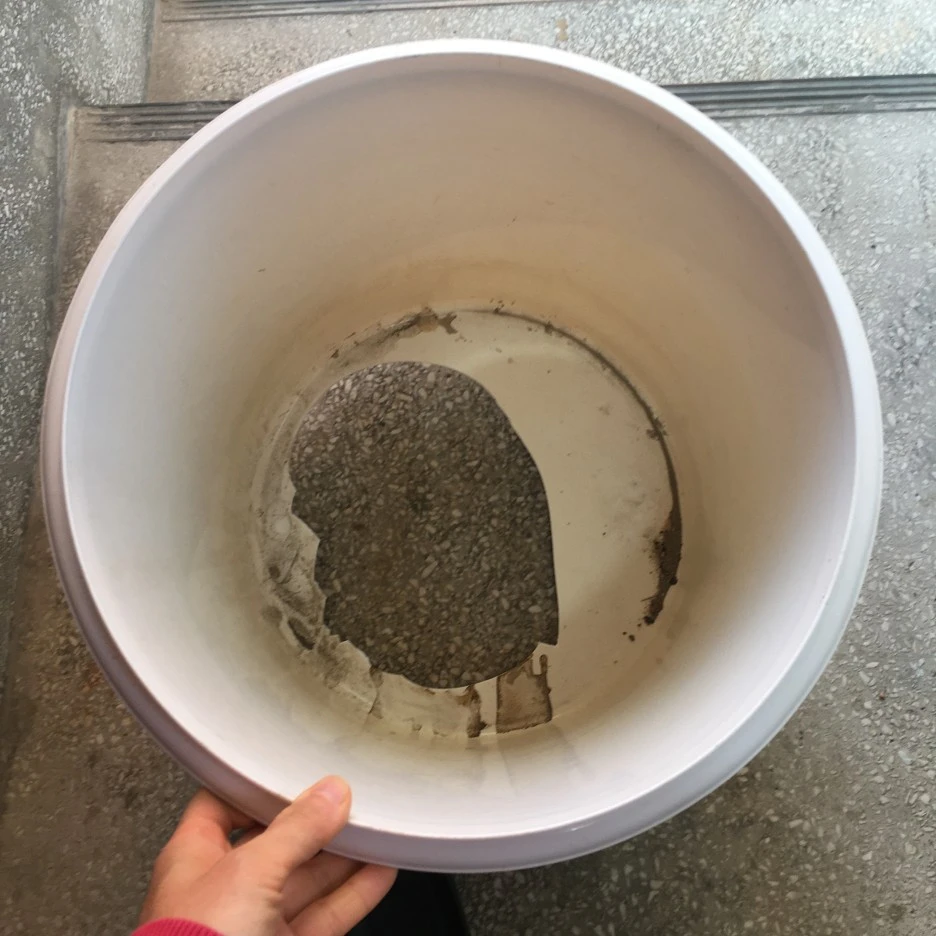 20210409_0702.JPG?type=w1