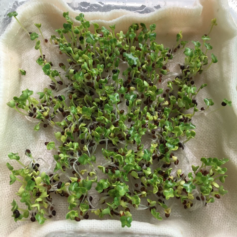 20210427_1098.JPG?type=w1