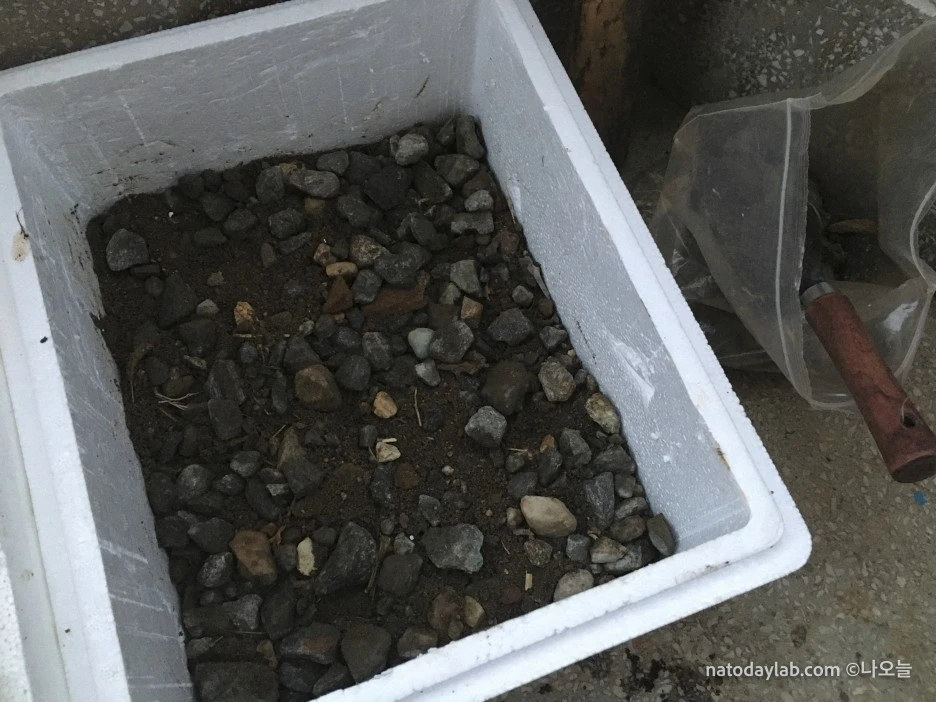 20210321--%EB%82%A0%EC%A7%9C-18.jpg?type=w1