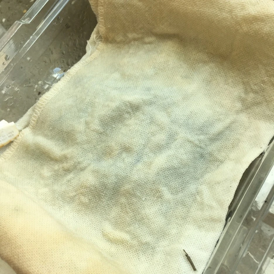 20210418_2825.JPG?type=w1