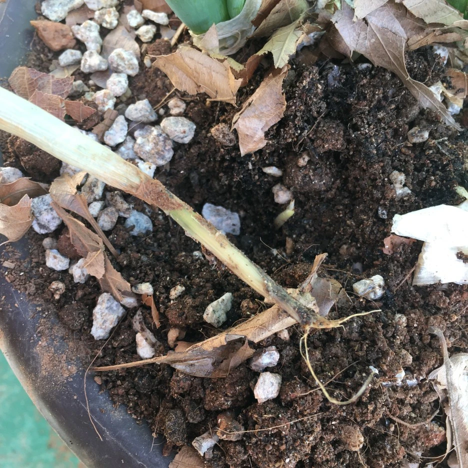 20210425_1041.JPG?type=w1