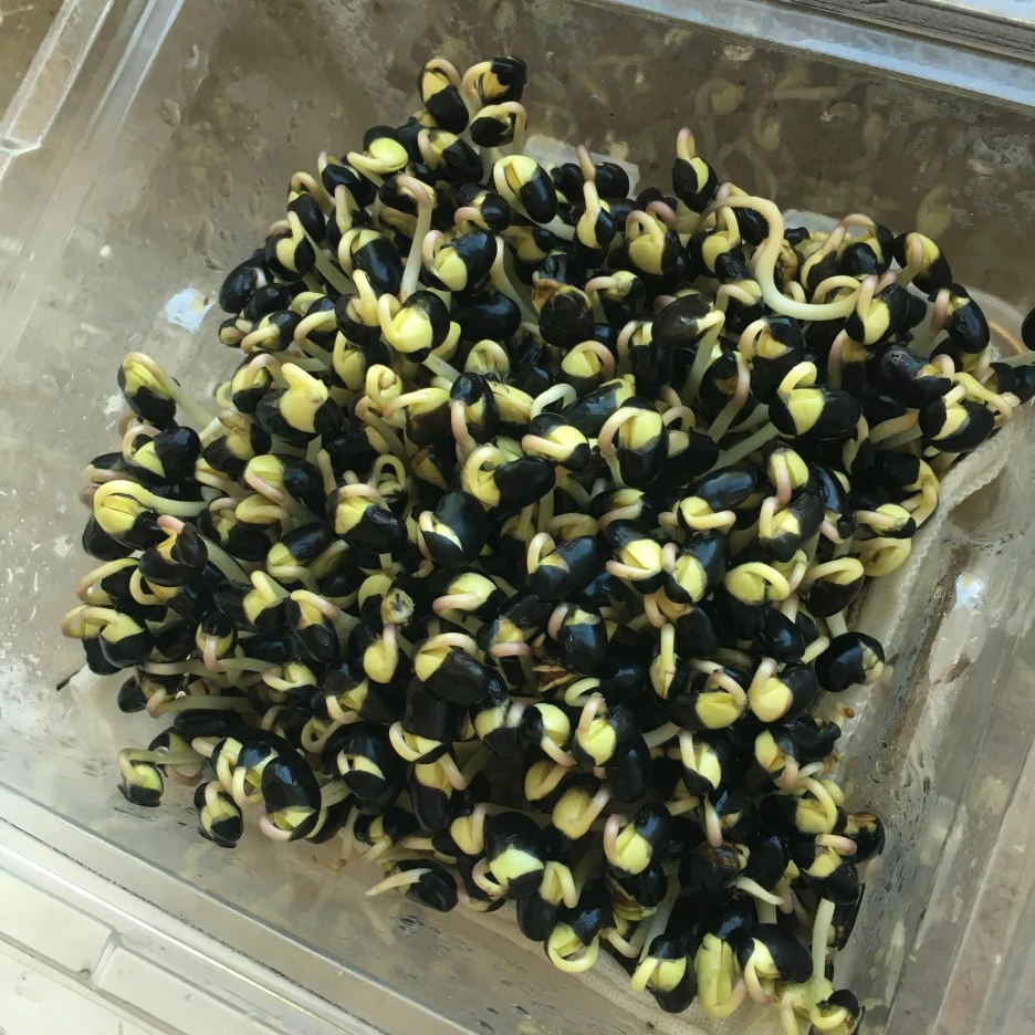 20210419_2859.JPG?type=w1