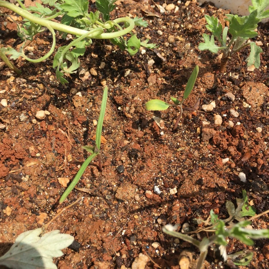 20210413_0985.JPG?type=w1