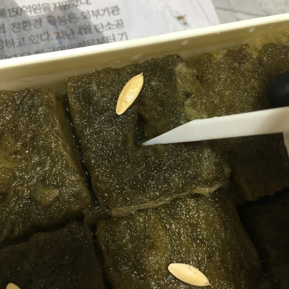 20210408_0605.JPG?type=w1