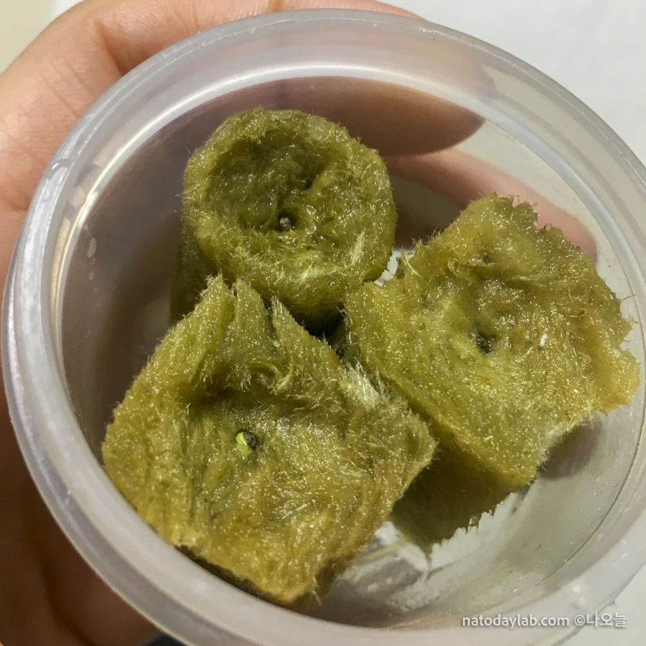 20210226--2.jpg?type=w1