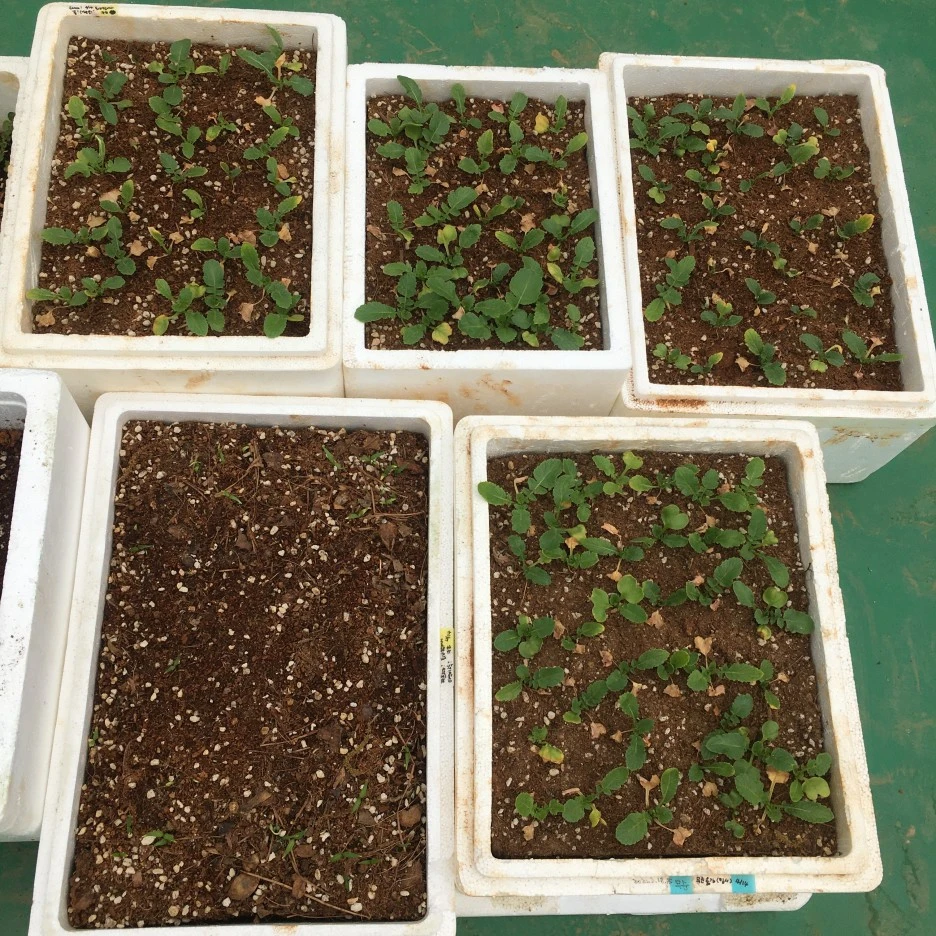 20210424_1024.JPG?type=w1