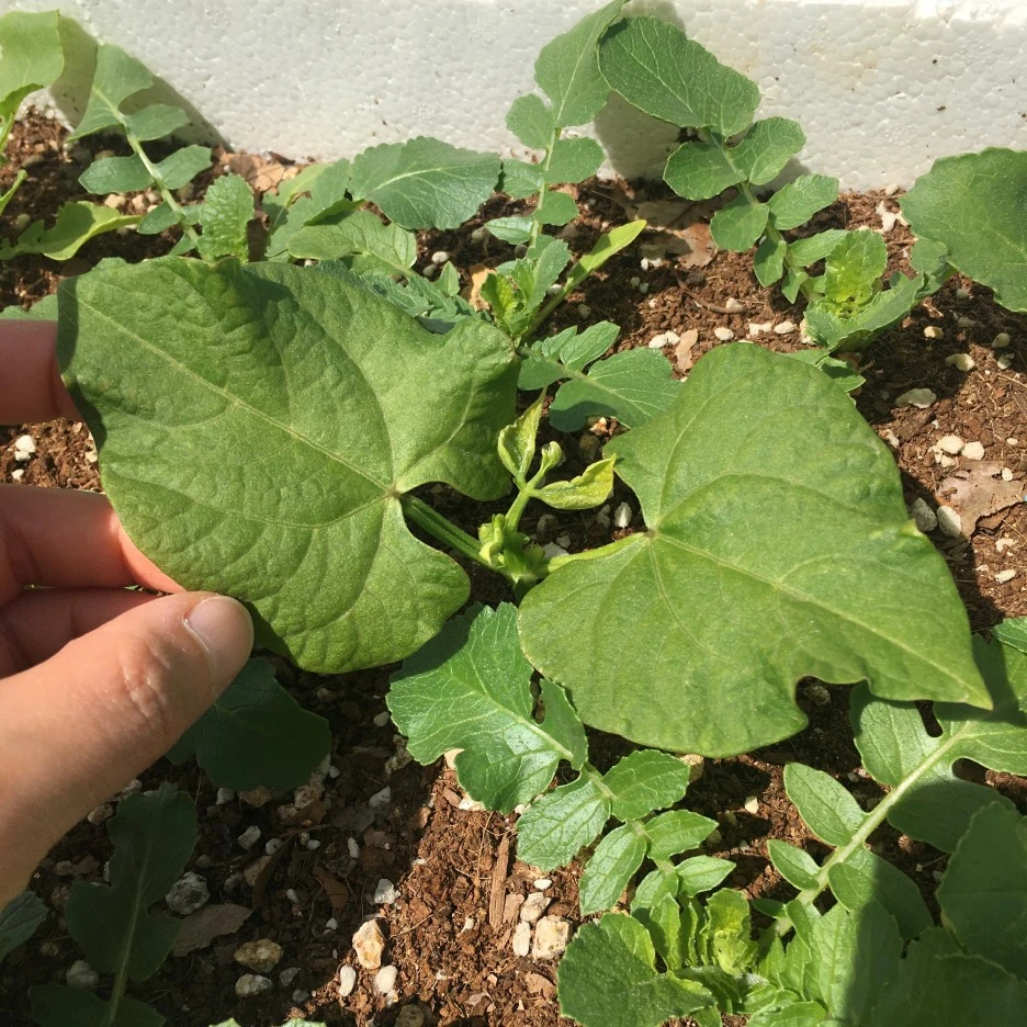 20210511_1364.JPG?type=w1