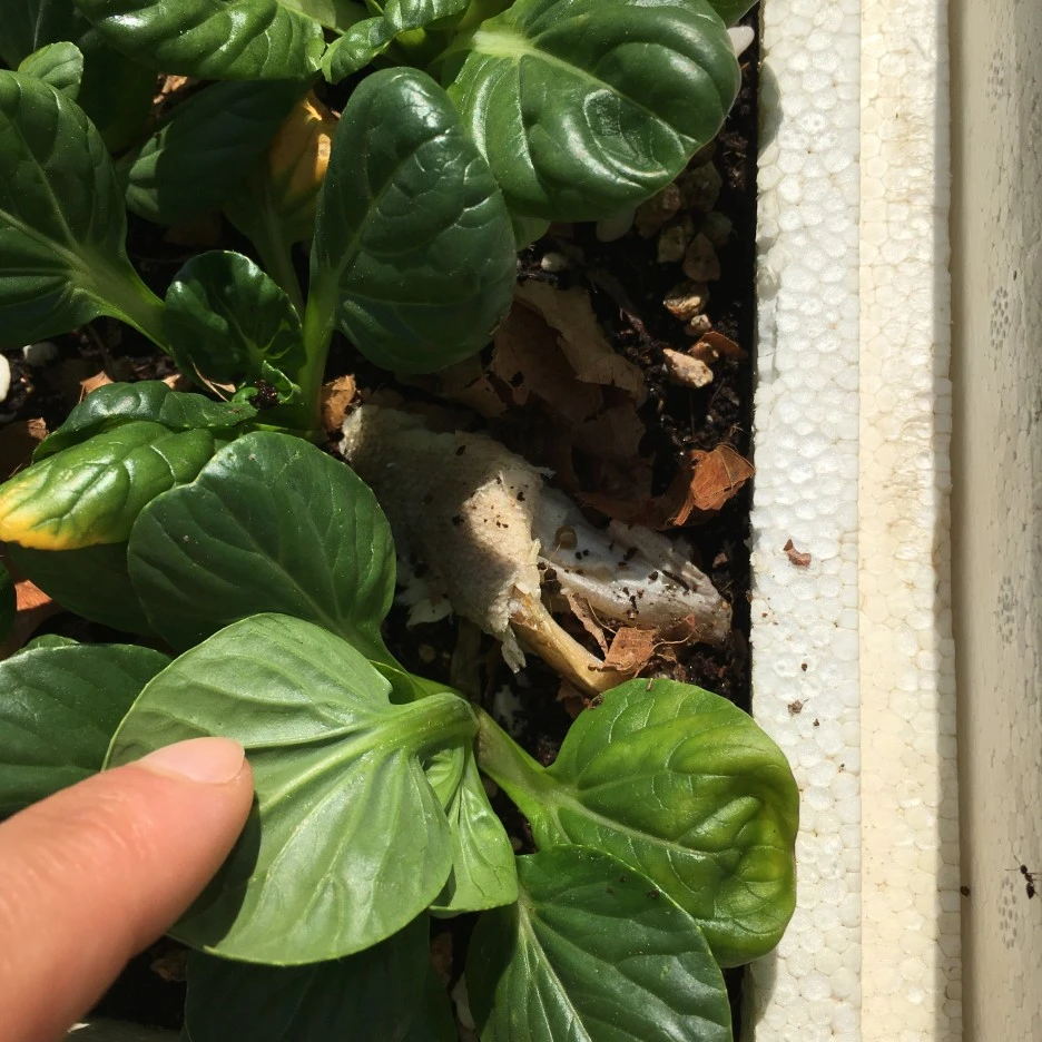 20210519_1663.JPG?type=w1